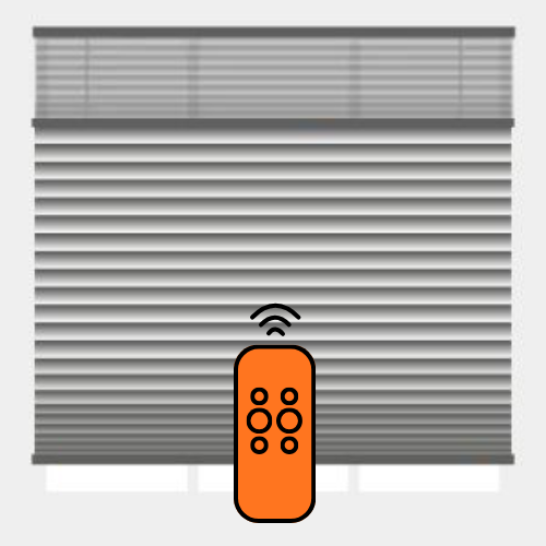 Motorized Day & Night